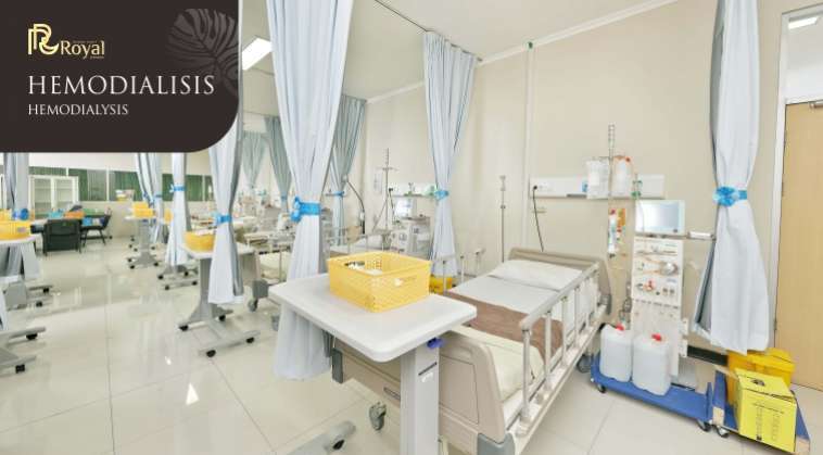 hemodialisis <p>Untuk memenuhi kebutuhan cuci darah bagi pasien yang membutuhkan, Rumah Sakit Royal Surabaya menyediakan fasilitas hemodialisis. Fasilitias Hemodialisis ini diperuntukan bagi pasien yang menderita gagal ginjal maupun akibat dari hipertensi dan diabetes sehingga membutuhkan bantuan perawatan cuci darah.</p>
<p> </p>
<p>Kami memiliki 8 mesin hemodialisis yang selalu siap untuk melayani pasien yang memerlukan cuci darah. Untuk layanan cuci darah, pasien akan dibantu dan dilayani oleh tenaga ahli Nephrologist dan perawat yang profesional dan bersertifikat hemodialisa. Fasilitas hemodialisis kami siap melayani anda dengan jam pelayanan yang terbagi dalam 2 shift yaitu pagi pada pukul 07.00 s/d 13.00 dan sore pukul 14.00 s/d 21.00 untuk memenuhi kebutuhan pasien.</p>